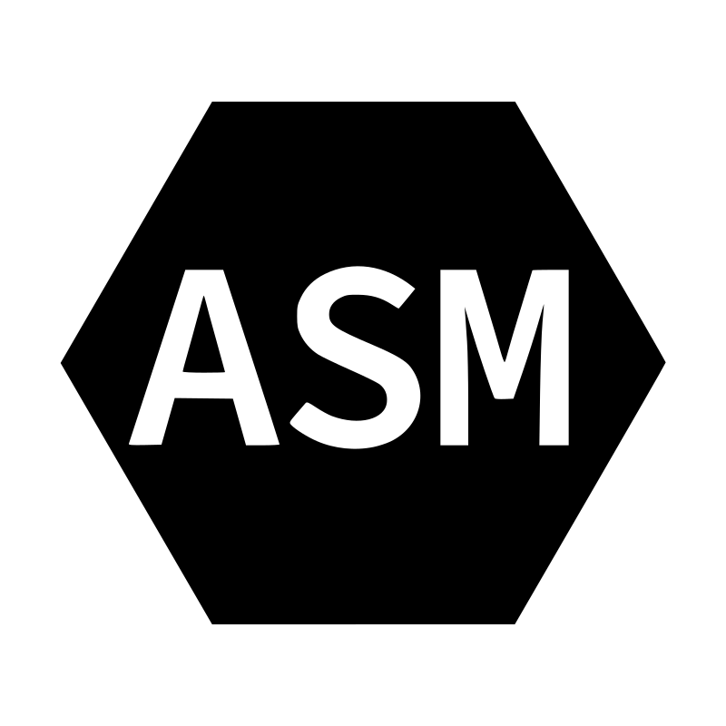 MIPS Assembly logo